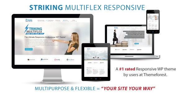 Striking wordpress theme sold on themeforest