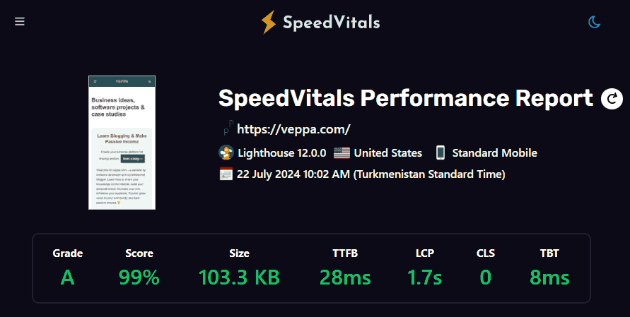 SpeedVitals shows additional information like TTFB, page size in overview.