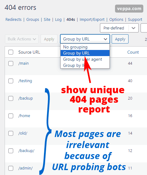 View unique 404 pages in Redirection plugin