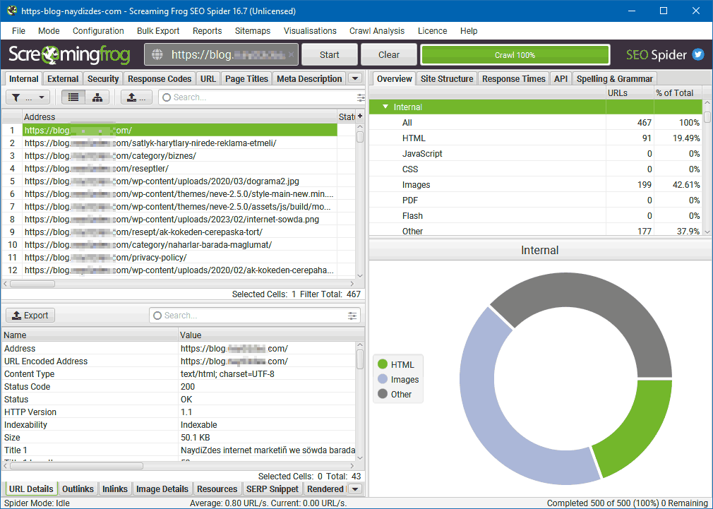 Screaming Frog dashboard after scanning a website