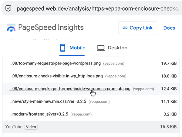 Google PageSpeed Insights shows Page Requests. Assets like image, css, js files.