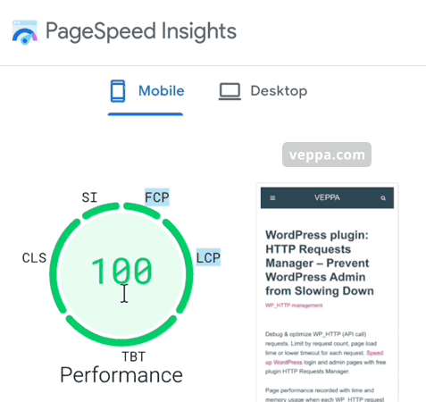 PageSpeed Insights score 100 after optimization.